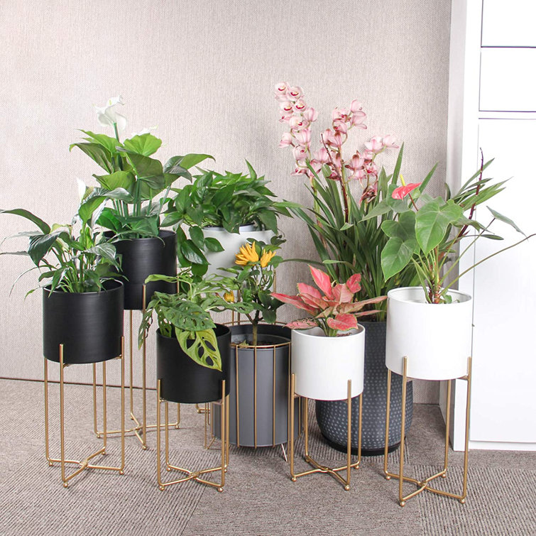 Everly Quinn Floor Standing Planter With Gold Metal Plant Stand, 6pcs